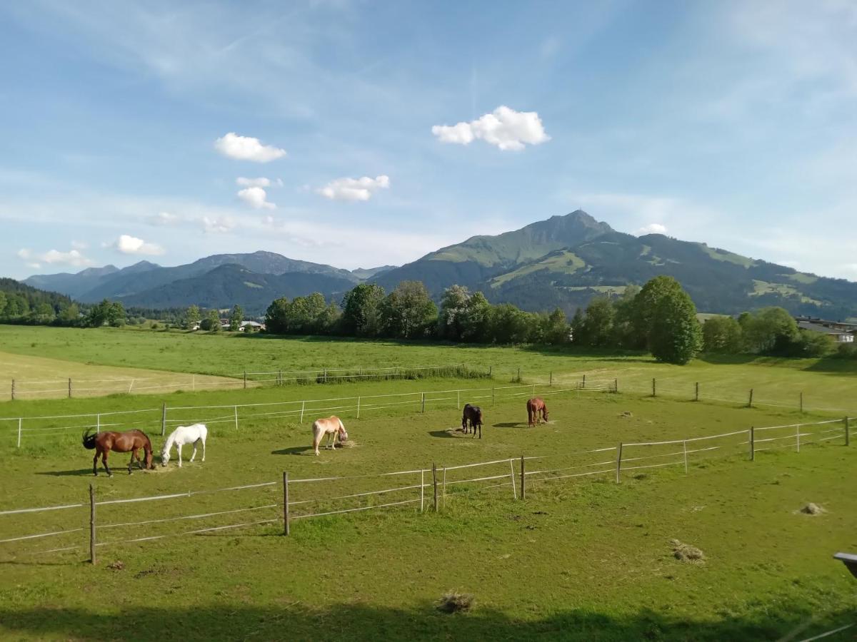Apartment-Pension Schmiedererhof Sankt Johann in Tirol Eksteriør bilde